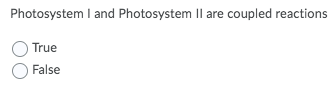 Photosystem I and Photosystem Il are coupled reactions
True
False
