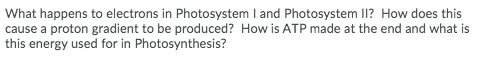 What happens to electrons in Photosystem I and Photosystem II? How does this
cause a proton gradient to be produced? How is ATP made at the end and what is
this energy used for in Photosynthesis?
