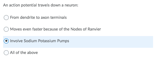 An action potential travels down a neuron:
O From dendrite to axon terminals
Moves even faster because of the Nodes of Ranvier
Involve Sodium Potassium Pumps
All of the above
