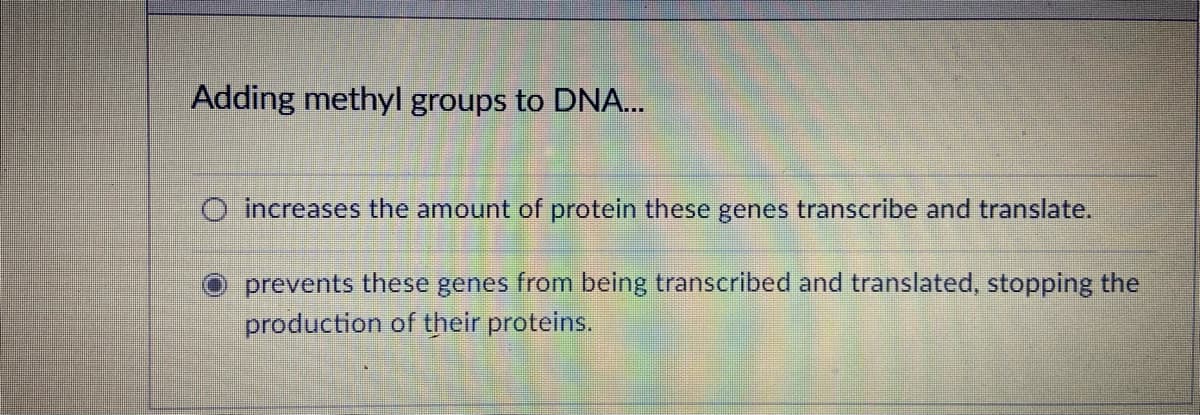 Adding methyl groups to DNA...
O increases the amount of protein these genes transcribe and translate.
prevents these genes from being transcribed and translated, stopping the
production of their proteins.
