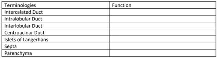 Terminologies
Function
Intercalated Duct
Intralobular Duct
Interlobular Duct
Centroacinar Duct
Islets of Langerhans
Septa
Parenchyma
