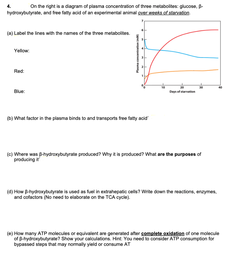 On the right is a diagram of plasma concentration of three metabolites: glucose, B-
hydroxybutyrate, and free fatty acid of an experimental animal over weeks of starvation.
4.
(a) Label the lines with the names of the three metabolites.
Yellow:
Red:
10
20
30
40
Blue:
Days of starvation
(b) What factor in the plasma binds to and transports free fatty acid
(c) Where was B-hydroxybutyrate produced? Why it is produced? What are the purposes of
producing it
(d) How B-hydroxybutyrate is used as fuel in extrahepatic cells? Write down the reactions, enzymes,
and cofactors (No need to elaborate on the TCA cycle).
(e) How many ATP molecules or equivalent are generated after complete oxidation of one molecule
of B-hydroxybutyrate? Show your calculations. Hint: You need to consider ATP consumption for
bypassed steps that may normally yield or consume AT
Plasma concentration (mM)
