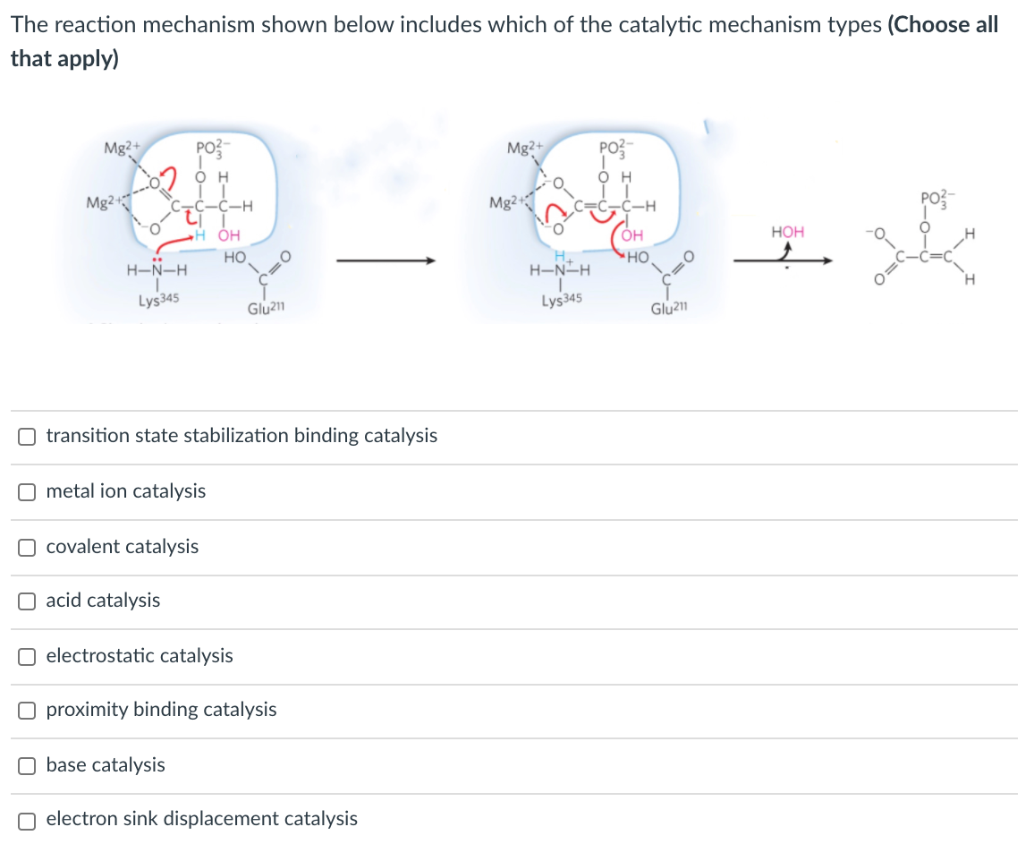 The reaction mechanism shown below includes which of the catalytic mechanism types (Choose all
that apply)
Mg?+
PO?-
Mg2+
PO?
O H
он
Mg2+
-Ċ-H
Mg2
-C-H
H ÓH
OH
нон
H-N-H
"HO
H-N-H
H.
Lys345
Lys345
Glu211
O transition state stabilization binding catalysis
O metal ion catalysis
O covalent catalysis
O acid catalysis
electrostatic catalysis
O proximity binding catalysis
O base catalysis
O electron sink displacement catalysis
