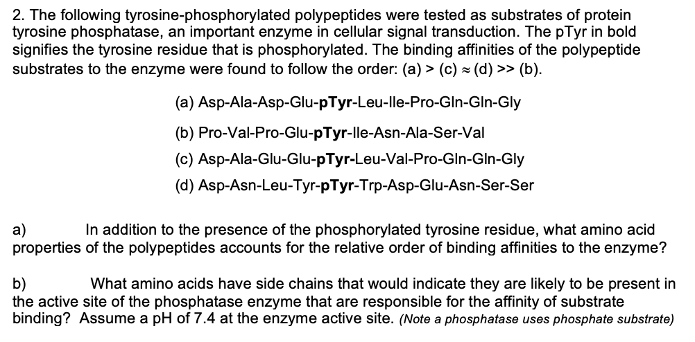 2. The following tyrosine-phosphorylated polypeptides were tested as substrates of protein
tyrosine phosphatase, an important enzyme in cellular signal transduction. The pTyr in bold
signifies the tyrosine residue that is phosphorylated. The binding affinities of the polypeptide
substrates to the enzyme were found to follow the order: (a) > (c) - (d) >> (b).
(a) Asp-Ala-Asp-Glu-pTyr-Leu-lle-Pro-Gln-Gln-Gly
(b) Pro-Val-Pro-Glu-pTyr-lle-Asn-Ala-Ser-Val
(c) Asp-Ala-Glu-Glu-pTyr-Leu-Val-Pro-Gln-Gln-Gly
(d) Asp-Asn-Leu-Tyr-pTyr-Trp-Asp-Glu-Asn-Ser-Ser
In addition to the presence of the phosphorylated tyrosine residue, what amino acid
a)
properties of the polypeptides accounts for the relative order of binding affinities to the enzyme?
b)
the active site of the phosphatase enzyme that are responsible for the affinity of substrate
binding? Assume a pH of 7.4 at the enzyme active site. (Note a phosphatase uses phosphate substrate)
What amino acids have side chains that would indicate they are likely to be present in
