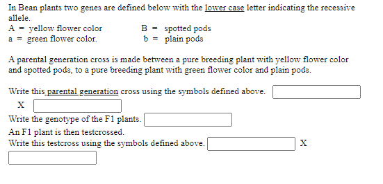 In Bean plants two genes are defined below with the lower case letter indicating the recessive
allele.
yellow flower color
a = green flower color.
B = spotted pods
b = plain pods
A =
A parental generation cross is made between a pure breeding plant with yellow flower color
and spotted pods, to a pure breeding plant with green flower color and plain pods.
Write this parental generation cross using the symbols defined above.
Write the genotype of the F1 plants.
An F1 plant is then testcrossed.
Write this testcross using the symbols defined above.
