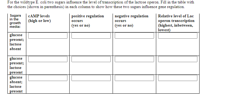For the wildtype E. coli two sugars influence the level of transcription of the lactose operon. Fill in the table wvith
the choices (shown in parenthesis) in each column to show how these two sugars influence gene regulation.
Sugars
in the
growth
media:
CAMP levels
positive regulation
negative regulation
Relative level of Lac
operon transcription
(highest, inbetween,
lowest)
(high or low)
оссurs
оссurs
(yes or no)
(yes or no)
glucose
present;
lactose
absent
glucose
present;
lactose
present
glucose
absent;
lactose
present

