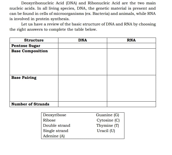 Deoxyribonucleic Acid (DNA) and Ribonucleic Acid are the two main
nucleic acids. In all living species, DNA, the genetic material is present and
can be found in cells of microorganisms (ex. Bacteria) and animals, while RNA
is involved in protein synthesis.
Let us have a review of the basic structure of DNA and RNA by choosing
the right answers to complete the table below.
Structure
DNA
RNA
Pentose Sugar
Base Composition
Base Pairing
Number of Strands
Deoxyribose
Guanine (G)
Cytosine (C)
Thymine (T)
Uracil (U)
Ribose
Double strand
Single strand
Adenine (A)
