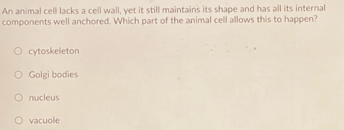 An animal cell lacks a cell wall, yet it still maintains its shape and has all its internal
components well anchored. Which part of the animal cell allows this to happen?
O cytoskeleton
O Golgi bodies
O nucleus
O vacuole
