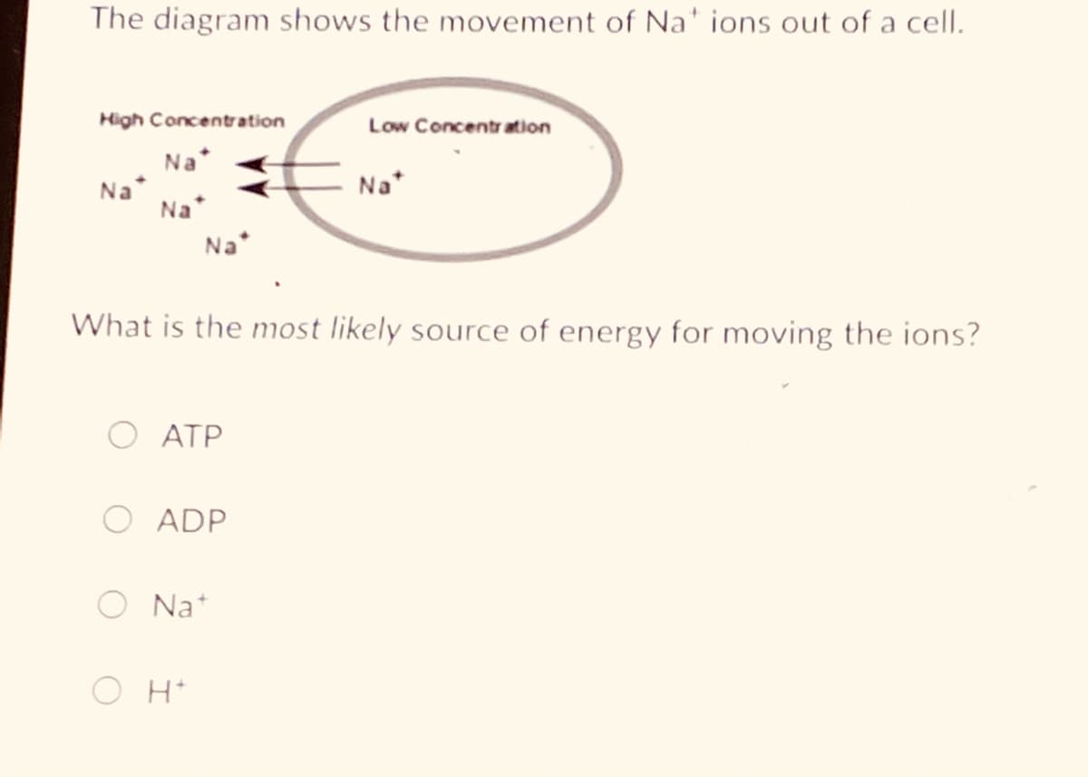 The diagram shows the movement of Na' ions out of a cell.
High Concentration
Low Concentr ation
Na*
Na*
Na*
Na*
Na*
What is the most likely source of energy for moving the ions?
ATP
ADP
O Nat
O H*

