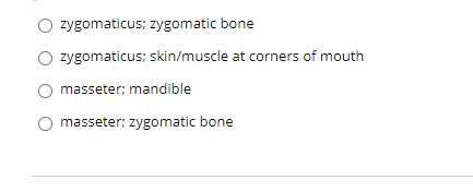 zygomaticus; zygomatic bone
zygomaticus; skin/muscle at corners of mouth
masseter; mandible
masseter; zygomatic bone
