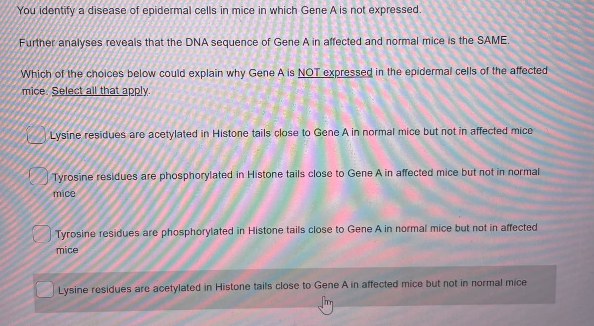 You identify a disease of epidermal cells in mice in which Gene A is not expressed.
Further analyses reveals that the DNA sequence of Gene A in affected and normal mice is the SAME.
Which of the choices below could explain why Gene A is NOT expressed in the epidermal cells of the affected
mice. Select all that apply.
Lysine residues are acetylated in Histone tails close to Gene A in normal mice but not in affected mice
Tyrosine residues are phosphorylated in Histone tails close to Gene A in affected mice but not in normal
mice
Tyrosine residues are phosphorylated in Histone tails close to Gene A in normal mice but not in affected
mice
Lysine residues are acetylated in Histone tails close to Gene A in affected mice but not in normal mice
