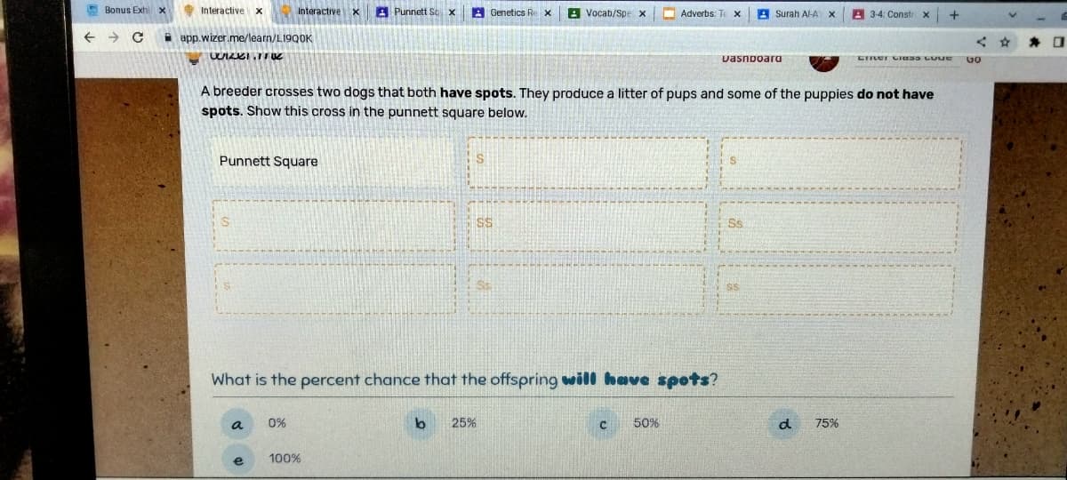 Bonus Exhi x
← → C "
Interactive X
app.wizer.me/learn/LI9Q0K
WizK1.1106
Interactive X
Punnett Square
S
a
0%
Punnett Sq x
100%
Genetics Rex
A breeder crosses two dogs that both have spots. They produce a litter of pups and some of the puppies do not have
spots. Show this cross in the punnett square below.
SS
What is the percent chance that the offspring will have spots?
Vocab/Spe x
b 25%
Adverbs: Te X
50%
Surah Al-A X
Dashboard
Ss
d
3-4: Constr
75%
+
Chrver Claas LUUE
<☆
GO
0