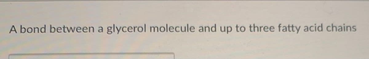 A bond between a glycerol molecule and up to three fatty acid chains
