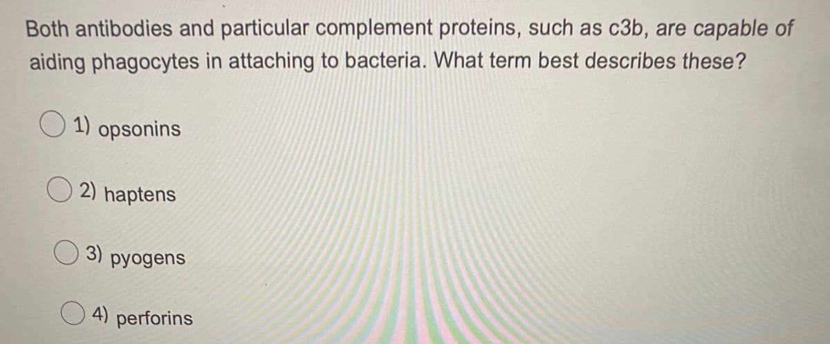 Both antibodies and particular complement proteins, such as c3b, are capable of
aiding phagocytes in attaching to bacteria. What term best describes these?
O
1) opsonins
O 2) haptens
O 3)
pyogens
O 4) perforins
