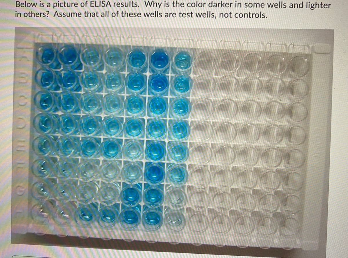 Below is a picture of ELISA results. Why is the color darker in some wells and lighter
in others? Assume that all of these wells are test wells, not controls.

