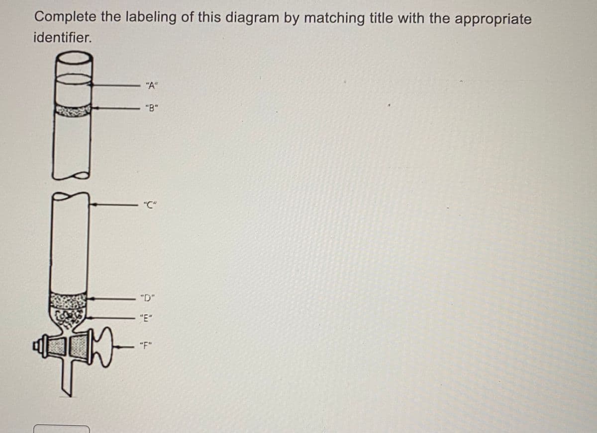 Complete the labeling of this diagram by matching title with the appropriate
identifier.
"A"
"B"
"C"
"D"
"E"
"F"
