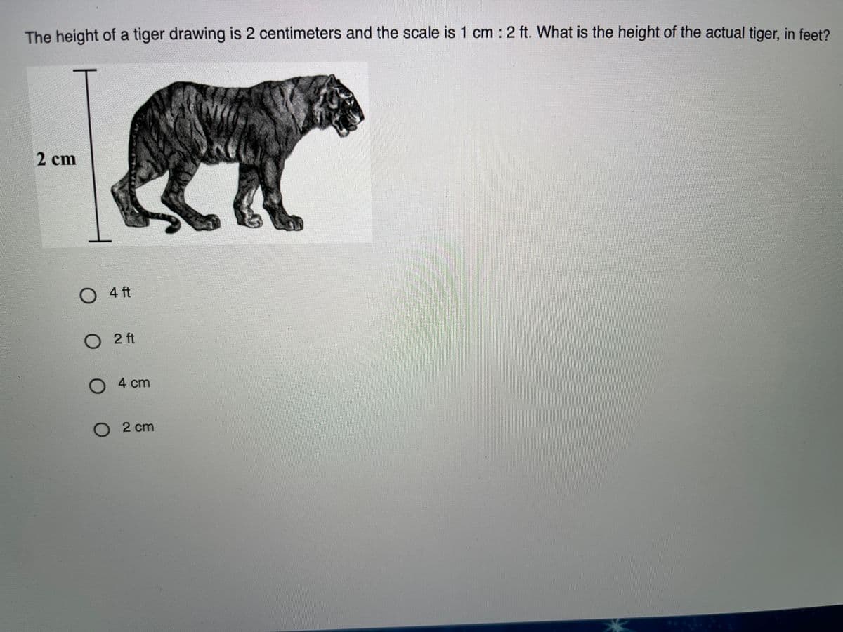 The height of a tiger drawing is 2 centimeters and the scale is 1 cm : 2 ft. What is the height of the actual tiger, in feet?
2 cm
4 ft
2 ft
O 4 cm
O 2 cm
