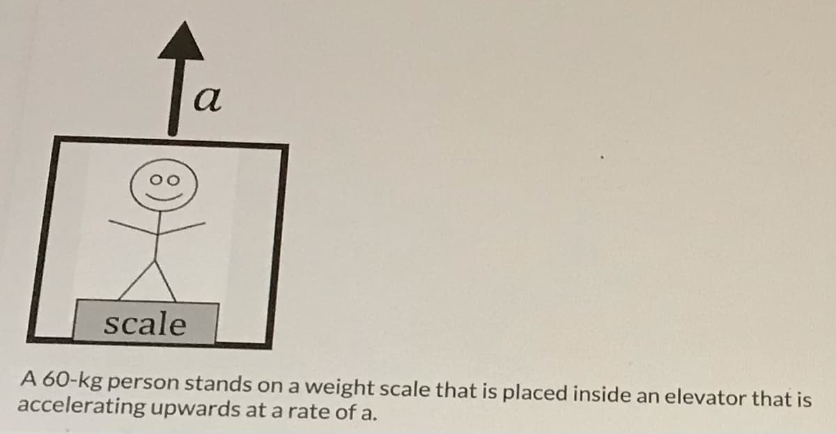 a
scale
A 60-kg person stands on a weight scale that is placed inside an elevator that is
accelerating upwards at a rate of a.
