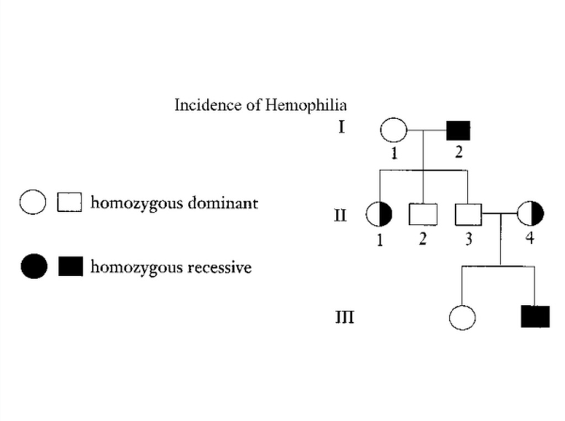 Incidence of Hemophilia
I
1
2
homozygous dominant
II
1 2
3
4
homozygous recessive
III
