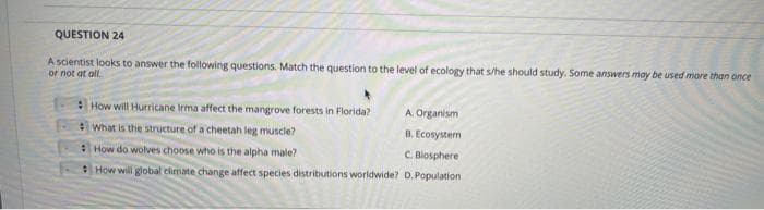 QUESTION 24
A scientist looks to answer the following questions. Match the question to the level of ecology that s/he should study. Some answers may be used more than once
or not at all.
How will Hurricane Irma affect the mangrove forests in Florida?
A Organism
What is the structure of a cheetah leg muscle?
B. Ecosystem
How do wolves choose who is the alpha male?
C. Blosphere
How will global climate change affect species distributions worldwide? D. Population
