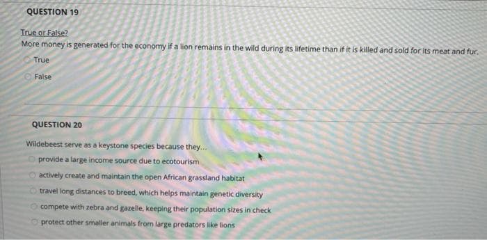 QUESTION 19
True or False?
More money is generated for the economy if a lion remains in the wild during its lifetime than if it is killed and sold for its meat and fur.
True
False
QUESTION 20
Wildebeest serve as a keystone species because they..
provide a large income source
to ecotourism
O actively create and maintain the open African grassland habitat
travel long distances to breed, which helps maintain genetic diversity
compete with zebra and gazelle, keeping their population sizes in check
protect other smaller animals from large predators like lions
