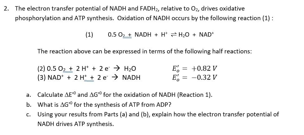 2. The electron transfer potential of NADH and FADH2, relative to O2, drives oxidative
phosphorylation and ATP synthesis. Oxidation of NADH occurs by the following reaction (1) :
(1)
0.5 02 + NADH + H* H20 + NAD*
The reaction above can be expressed in terms of the following half reactions:
(2) 0.5 O2 + 2 H* + 2 e > H20
(3) NAD+ + 2 H* + 2 e → NADH
E.
E,
= -0.32 V
= +0.82 V
Calculate AE'" and AGO for the oxidation of NADH (Reaction 1).
а.
b. What is AG'º for the synthesis of ATP from ADP?
c. Using your results from Parts (a) and (b), explain how the electron transfer potential of
NADH drives ATP synthesis.
