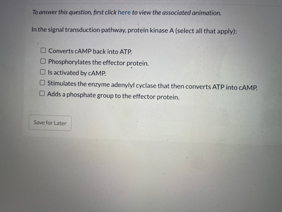 To answer this question, first click here to view the associated animation.
In the signal transduction pathway, protein kinase A (select all that apply):
Converts CAMP back into ATP.
Phosphorylates the effector protein.
Is activated by CAMP.
Stimulates the enzyme adenylyl cyclase that then converts ATP into CAMP.
O Adds a phosphate group to the effector protein.
Save for Later