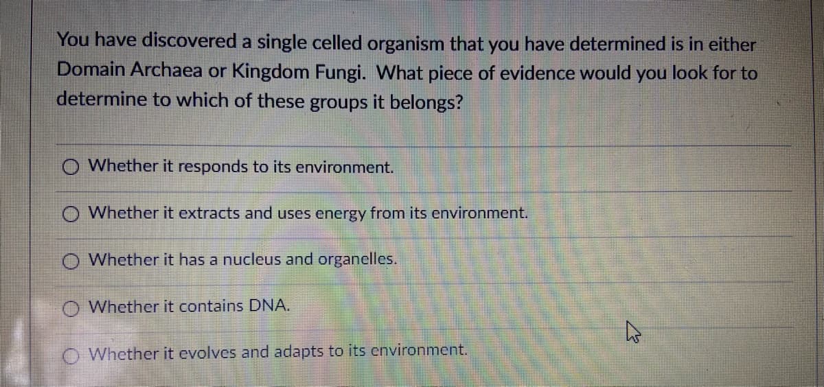 You have discovered a single celled organism that you have determined is in either
Domain Archaea or Kingdom Fungi. What piece of evidence would you look for to
determine to which of these groups it belongs?
Whether it responds to its environment.
Whether it extracts and uses energy from its environment.
O Whether it has a nucleus and organelles.
Whether it contains DNA.
O Whether it evolves and adapts to its environment.
