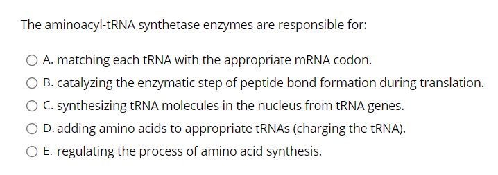 The aminoacyl-tRNA synthetase enzymes are responsible for:
O A. matching each tRNA with the appropriate mRNA codon.
O B. catalyzing the enzymatic step of peptide bond formation during translation.
O C. synthesizing tRNA molecules in the nucleus from tRNA genes.
O D. adding amino acids to appropriate tRNAS (charging the tRNA).
O E. regulating the process of amino acid synthesis.
