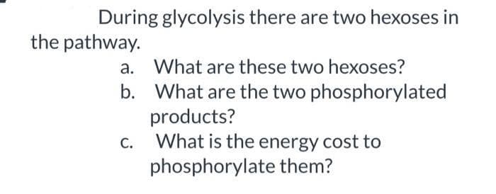 During glycolysis there are two hexoses in
the pathway.
a. What are these two hexoses?
b. What are the two phosphorylated
products?
What is the energy cost to
phosphorylate them?
C.
