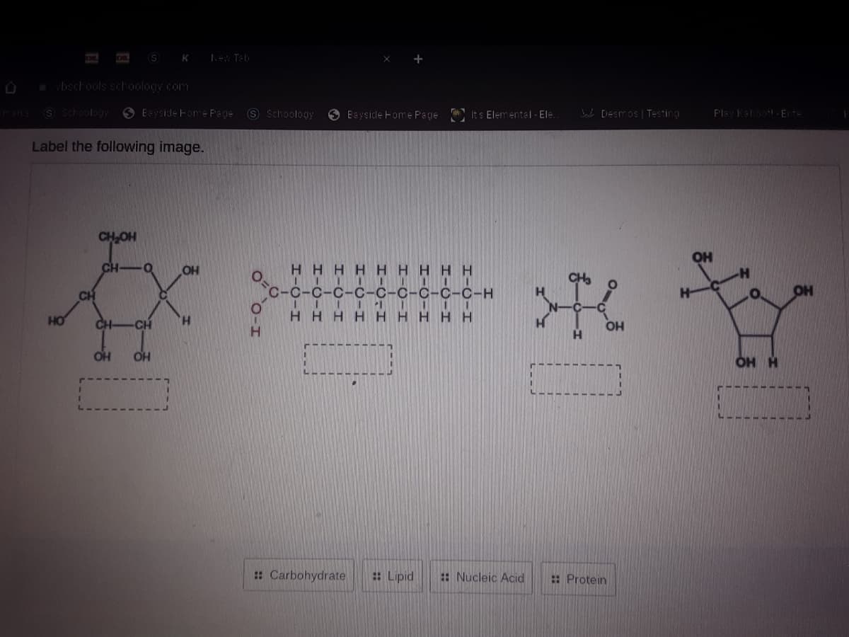 S K
Teh
bschools schoology com
es S Scoology O Esyside Fome Page 9 Schoology
O Baysicle Fome Pege
Its Elementel - Ele.
bala DDESTOS | Testing
Play Kehoot Ete
Label the following image.
CHOH
OH
CH-O
OH
H HHHH HHHH
CH
C-C-C-C-C-C-C-C-C-C-H
OH
HO
H.
HHHH HHHH H
CH -CH
OH
H.
OH
OH
OH H
: Carbohydrate
: Lipid
: Nucleic Acid
: Protein
o 0-I
