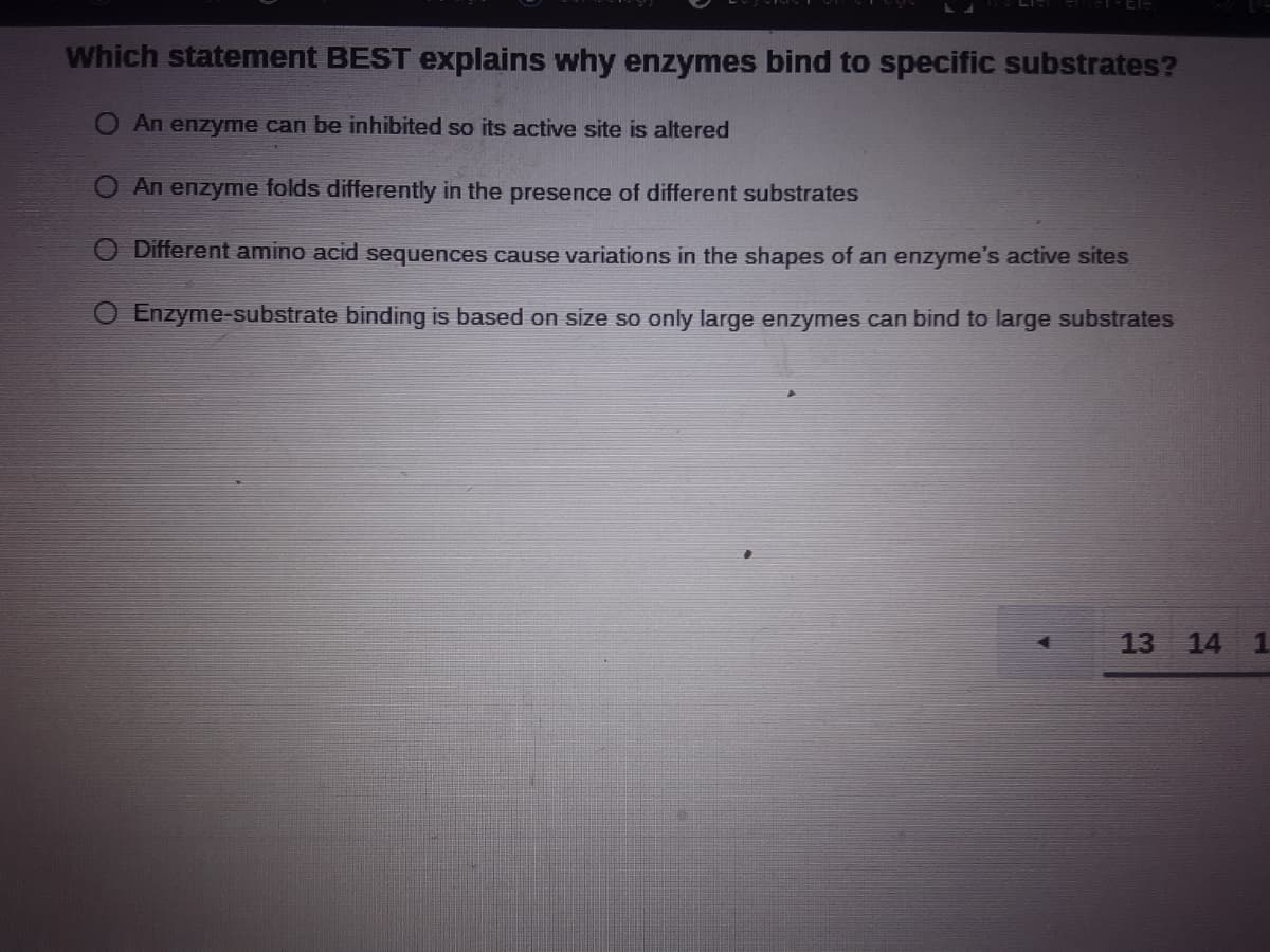 Which statement BEST explains why enzymes bind to specific substrates?
O An enzyme can be inhibited so its active site is altered
An enzyme folds differently in the presence of different substrates
O Different amino acid sequences cause variations in the shapes of an enzyme's active sites
Enzyme-substrate binding is based on size so only large enzymes can bind to large substrates
13
14 1
