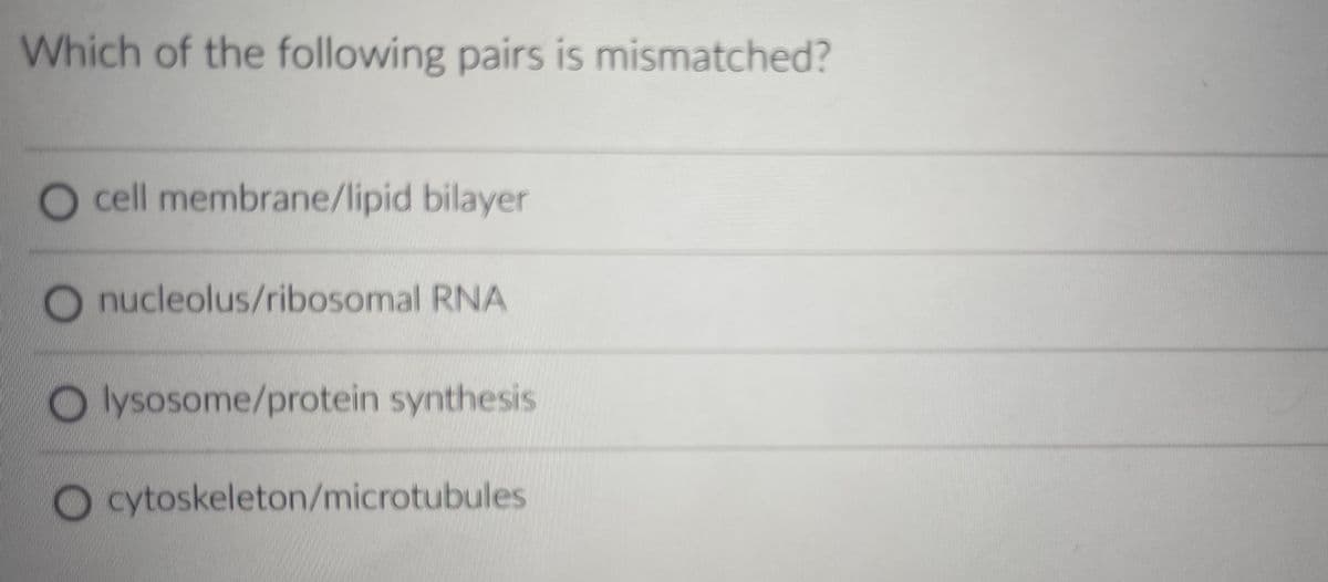 Which of the following pairs is mismatched?
cell membrane/lipid bilayer
Onucleolus/ribosomal RNA
Olysosome/protein synthesis
O cytoskeleton/microtubules