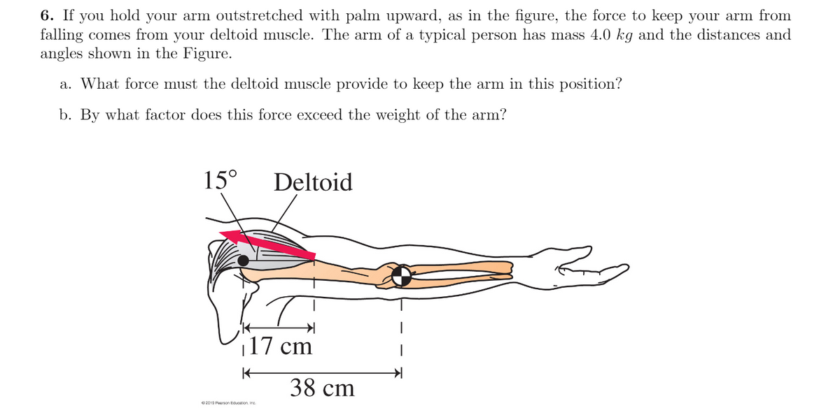 6. If you hold your arm outstretched with palm upward, as in the figure, the force to keep your arm from
falling comes from your deltoid muscle. The arm of a typical person has mass 4.0 kg and the distances and
angles shown in the Figure.
a. What force must the deltoid muscle provide to keep the arm in this position?
b. By what factor does this force exceed the weight of the arm?
15°
Deltoid
|17 cm
38 cm
O 2019 Pearson Education, Inc.

