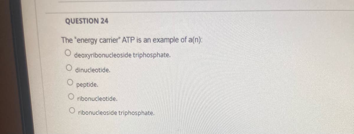 QUESTION 24
The "energy carrier" ATP is an example of a(n):
deoxyribonucleoside triphosphate.
dinucleotide.
peptide.
ribonucleotide.
O ribonucleoside triphosphate.
