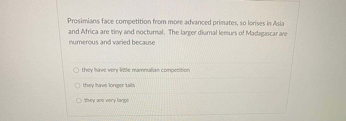 Prosimians face competition from more advanced primates, so lorises in Asia
and Africa are tiny and nocturnal. The larger diurnal lemurs of Madagascar are
numerous and varied because
O they have very little mammalian competition
O they have longer tails
O they are very large
