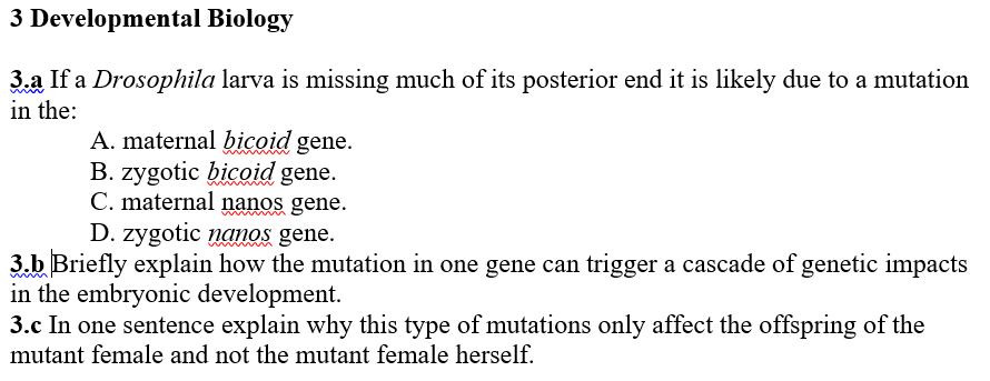 If a Drosophila larva is missing much of its posterior end it is likely due to a mutation
che:
A. maternal bicoid gene.
B. zygotic bicoid gene.
C. maternal nanos gene.
D. zygotic nanos gene.
