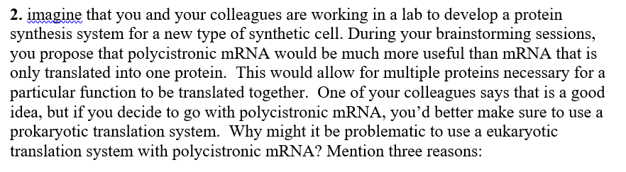 2. įmagine that you and your colleagues are working in a lab to develop a protein
synthesis system for a new type of synthetic cell. During your brainstorming sessions,
you propose that polycistronic mRNA would be much more useful than MRNA that is
only translated into one protein. This would allow for multiple proteins necessary for a
particular function to be translated together. One of your colleagues says that is a good
idea, but if you decide to go with polycistronic mRNA, you'd better make sure to use a
prokaryotic translation system. Why might it be problematic to use a eukaryotic
translation system with polycistronic mRNA? Mention three reasons:
