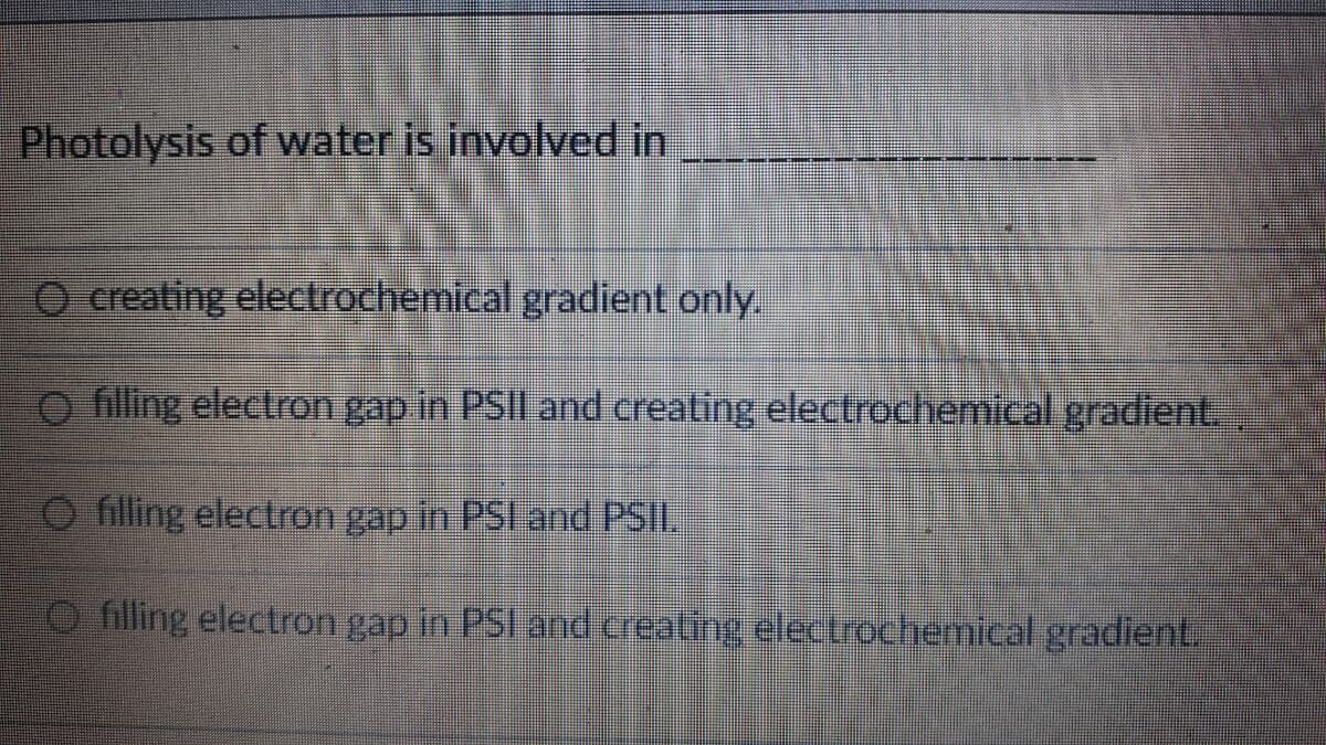 Photolysis of water is involved in
O creating electrochemical gradient only.
O filling electron gap in PSII and creating electrochemical gradient.
O filling electron gap in PSI and PSII.
O filling electron gap in PSI and crealing electrochemical gradient.
