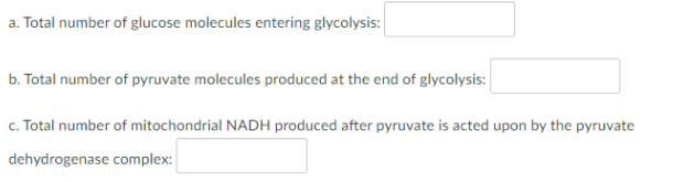 a. Total number of glucose molecules entering glycolysis:
b. Total number of pyruvate molecules produced at the end of glycolysis:
c. Total number of mitochondrial NADH produced after pyruvate is acted upon by the pyruvate
dehydrogenase complex:
