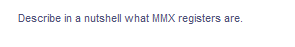 Describe in a nutshell what MMX registers are.