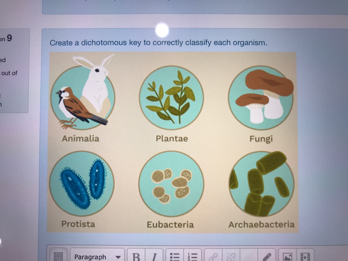 9 nכ
Create a dichotomous key to correctly classify each organism.
ed
out of
Animalia
Plantae
Fungi
Protista
Eubacteria
Archaebacteria
Paragraph
