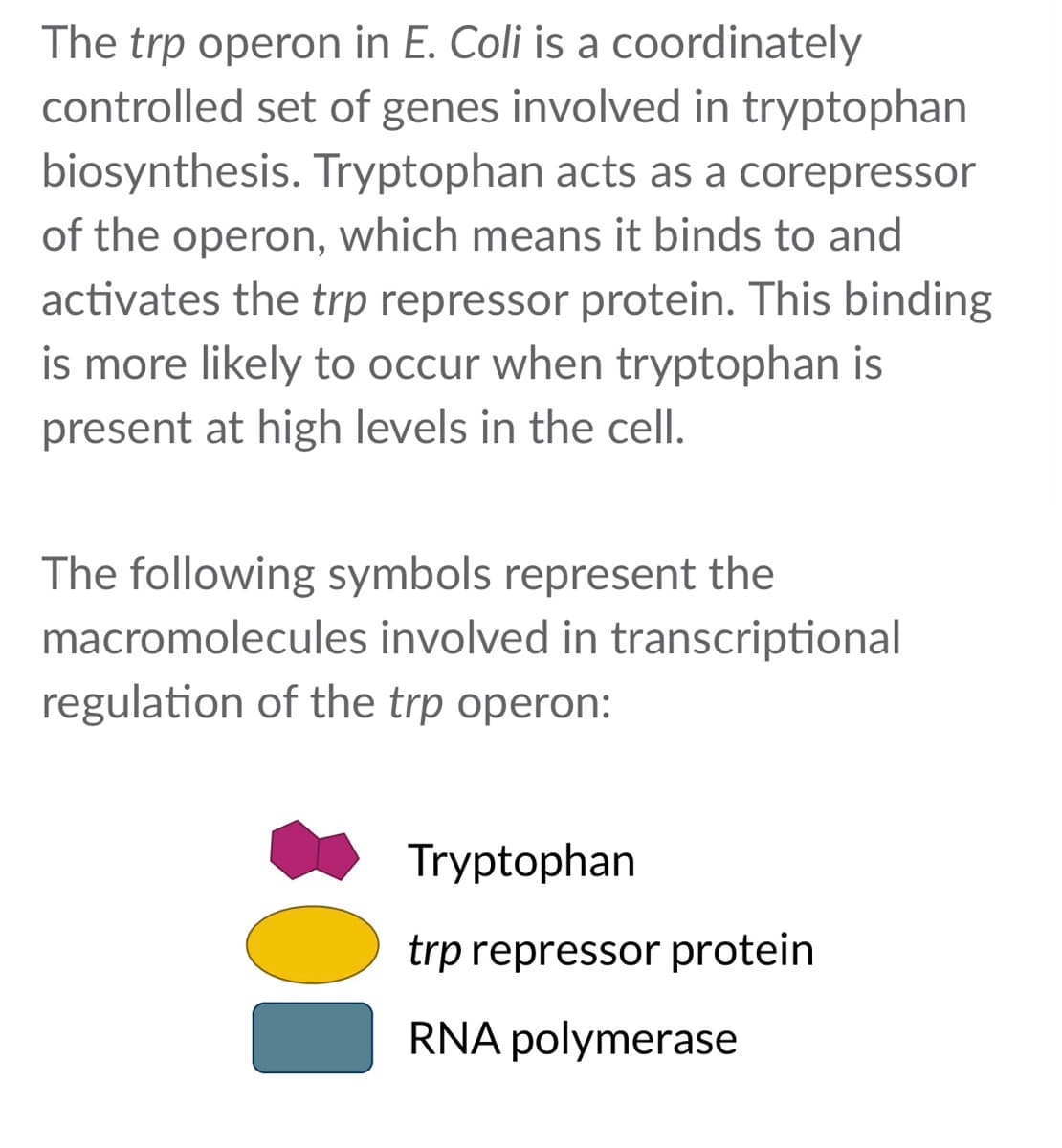 The trp operon in E. Coli is a coordinately
controlled set of genes involved in tryptophan
biosynthesis. Tryptophan acts as a corepressor
of the operon, which means it binds to and
activates the trp repressor protein. This binding
is more likely to occur when tryptophan is
present at high levels in the cell.
The following symbols represent the
macromolecules involved in transcriptional
regulation of the trp operon:
Tryptophan
trp repressor protein
RNA polymerase
