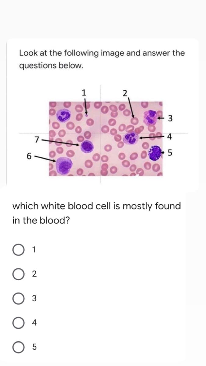 Look at the following image and answer the
questions below.
1
2.
3
7.
6.
which white blood cell is mostly found
in the blood?
1
O 5
