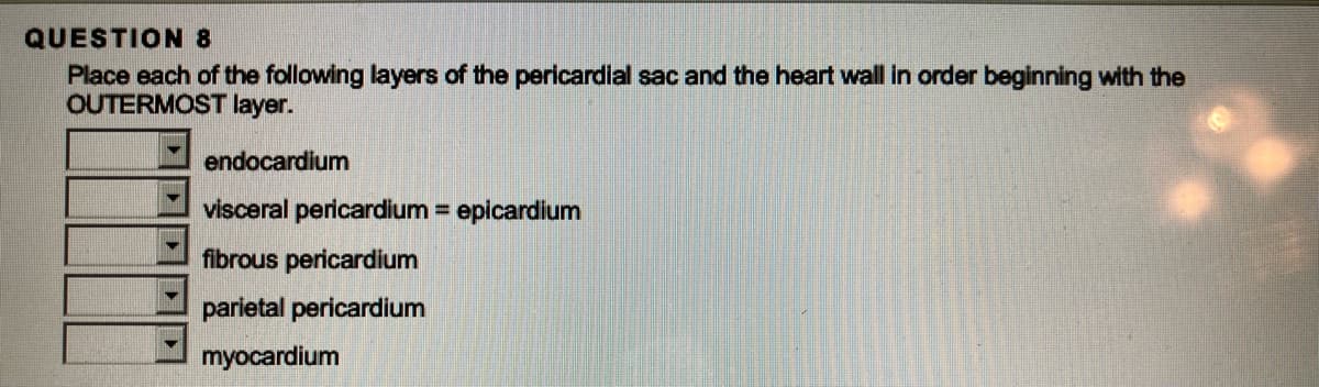 QUESTION 8
Place each of the following layers of the pericardial sac and the heart wall in order beginning with the
OUTERMOST layer.
endocardium
visceral pericardium = epicardium
fibrous pericardium
parietal pericardium
myocardium