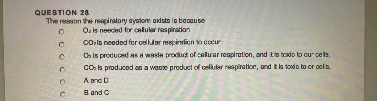 QUESTION 28
The reason the respiratory system exists is because
O2 is needed for cellular respiration
O
O
O
O
O
O
CO2 is needed for cellular respiration to occur
O2 is produced as a waste product of cellular respiration, and it is toxic to our cells.
CO₂ is produced as a waste product of cellular respiration, and it is toxic to or cells.
A and D
B and C