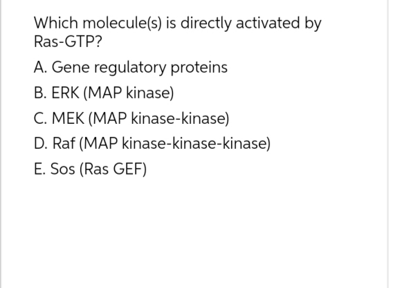 Which molecule(s) is directly activated by
Ras-GTP?
A. Gene regulatory proteins
B. ERK (MAP kinase)
C. MEK (MAP kinase-kinase)
D. Raf (MAP kinase-kinase-kinase)
E. Sos (Ras GEF)
