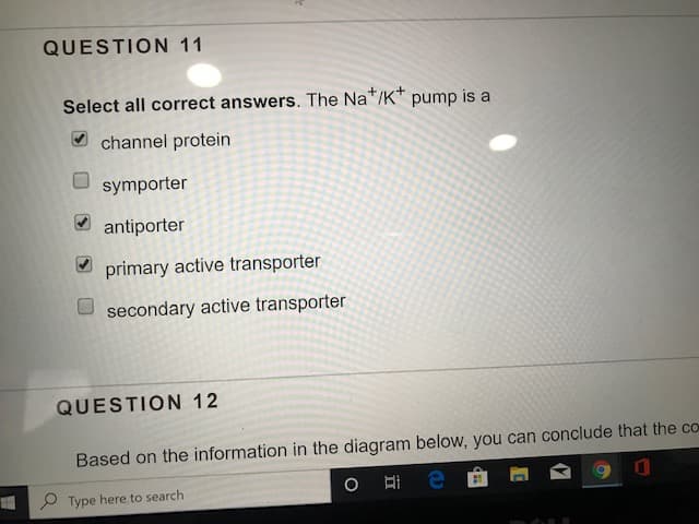 QUESTION 11
+/K+
Select all correct answers. The Na
is a
pump
channel protein
symporter
O antiporter
primary active transporter
secondary active transporter
QUESTION 12
Based on the information in the diagram below, you can conclude that the co
P Type here to search

