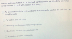 You are watching mitosis occur in cheek epithelial cells. Which of the following
would you see occurring? Select all that apply.
An indentation of the cell membrane that eventualy pinches the cells into two
daughter cells
Formation of a cell plate
Homologous chromosomes pairing together
Centrioles creating the mitotic spindie
Separation of sister chromatids
