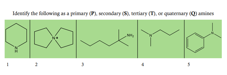 Identify the following as a primary (P), secondary (S), tertiary (T), or quaternary (Q) amines
NH2
1
2
3.
ZI
